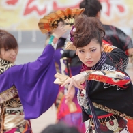 浜松がんこ祭り⑤百華夢想さん