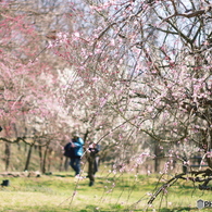 庄原　備北丘陵公園２０
