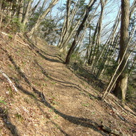 中ノ森登山道　DSCF1584