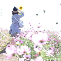 ”Cosmos""""