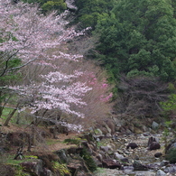 広島_御調八幡宮借景6