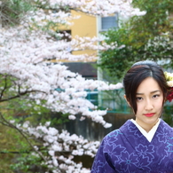 桜日和