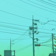 電線と鯉のぼり