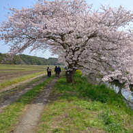 春風の通り道