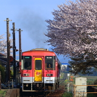 春の法華口