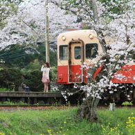 桜キハ200系⑦