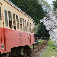 桜キハ200系⑨