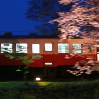 夜桜小湊鉄道④