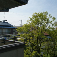 部屋の窓からこんにちは。