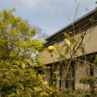 DSC01117