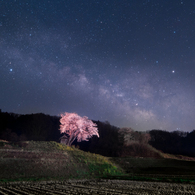 小沢の桜と天の川