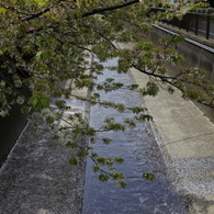 さらさら流る