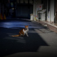 繁華街の朝
