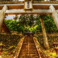 Green Forest　～大平神社～