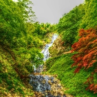 Green Forest ～旭滝～