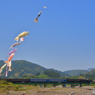 新緑の大井川鐵道①