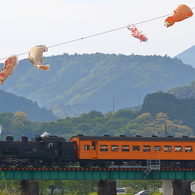 新緑の大井川鐵道⑦
