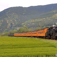 新緑の大井川鐵道⑬