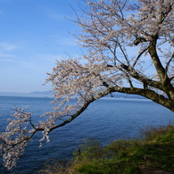 琵琶湖へとどけ！