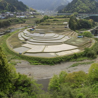 あらぎ島