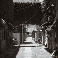 探索行動