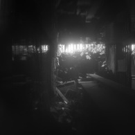 探索行動