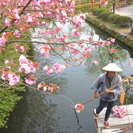 江戸の贅沢