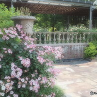 薔薇のある風景
