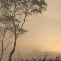 暁霧（ぎょうむ）