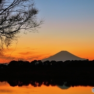 馴染みの夕景