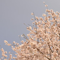 青へと向かって