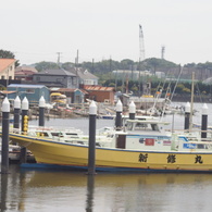 Auto-Takmar 55/2
