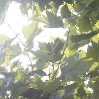 DSC02907