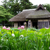 豪農の館（北方文化博物館・吉ヶ平民家）