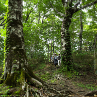 20150614岡山県立森林公園