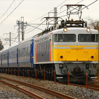 EF81-99