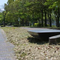 地平