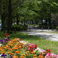 緑道(2)