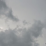 ゴロゴロ言ってるよｗ
