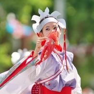 よさこい祭り2016⑱榛原さん