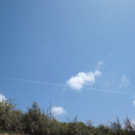 P5150733