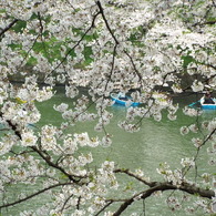 DSCF0442
