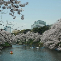 DSCF0480