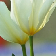 DSCF0345
