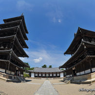 1400年来の相棒