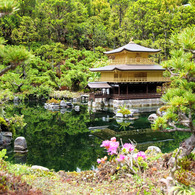金閣寺