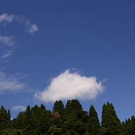 DSC03546-1