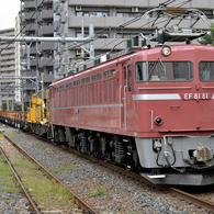 EF81-81