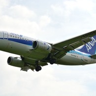 ANA 737