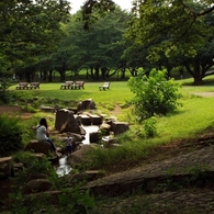 ベンチのある風景6